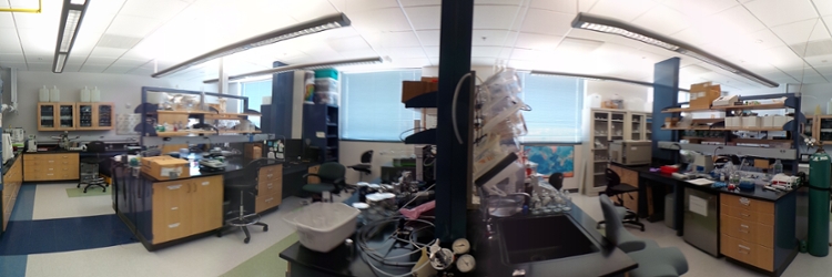 Labanner1