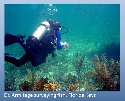 Armitage fish survey
