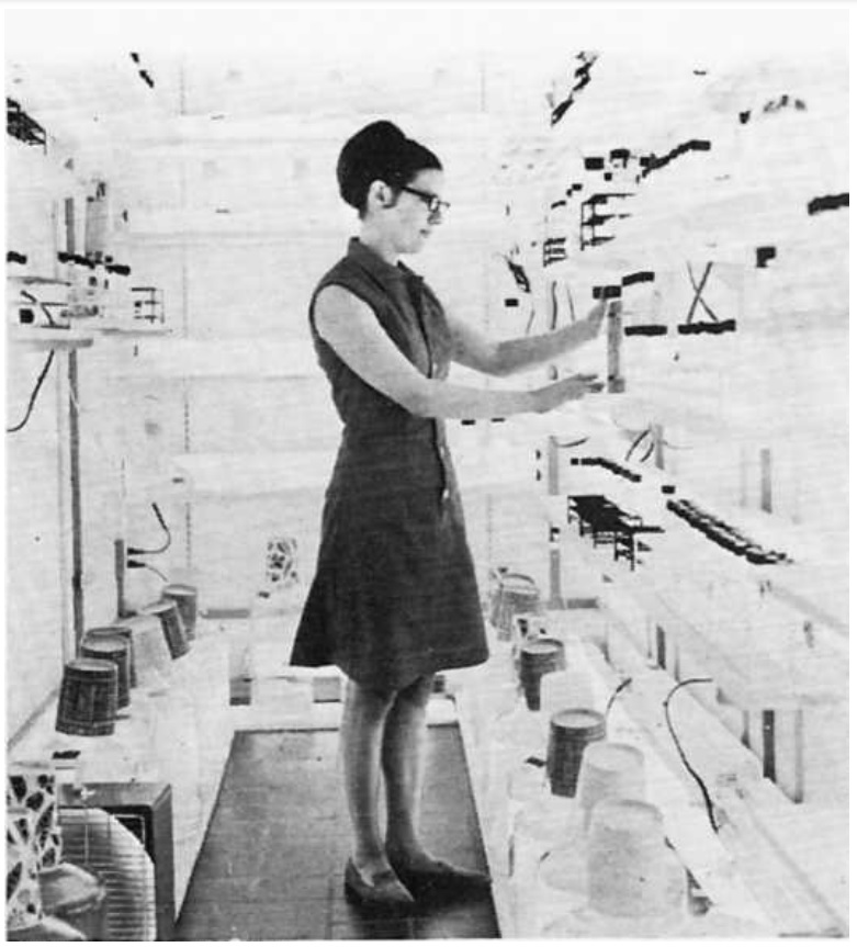 Anita Aldrich at the Texas A&M Marine Laboratory, circa 1966.