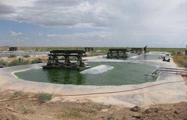 Ponds at Pecos, TX