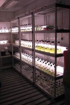 Culture chamber