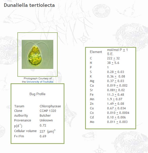 Dunaliella tertiolecta