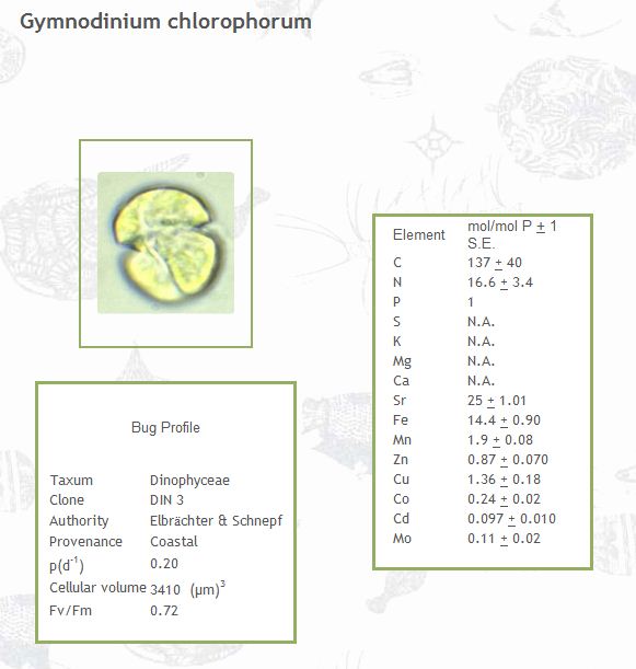 Gymnodinium chlorophorum