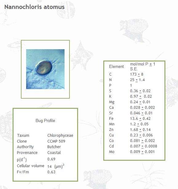 Nannochloris atomus