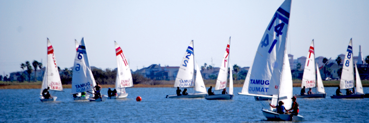 Sailing Banner