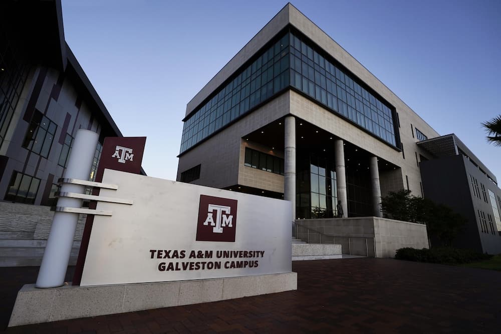 Texas A&M University at Galveston Campus sign at the front of the two main buildings. Texas A&M University at Galveston in Galveston, Texas, on July 29, 2022. (Laura McKenzie/Texas A&M University Division of Marketing & Communications)