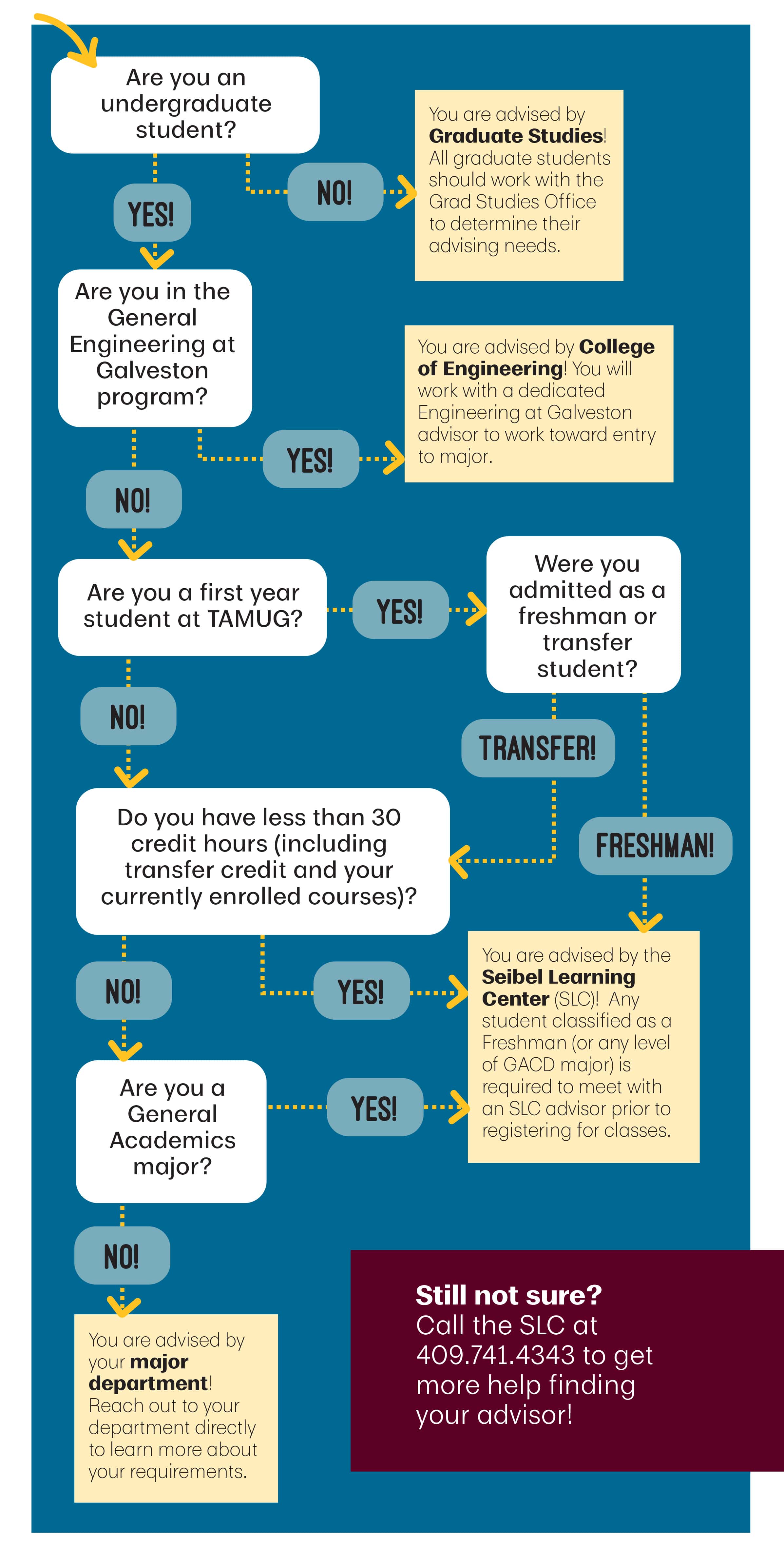 Advisor Flowchart