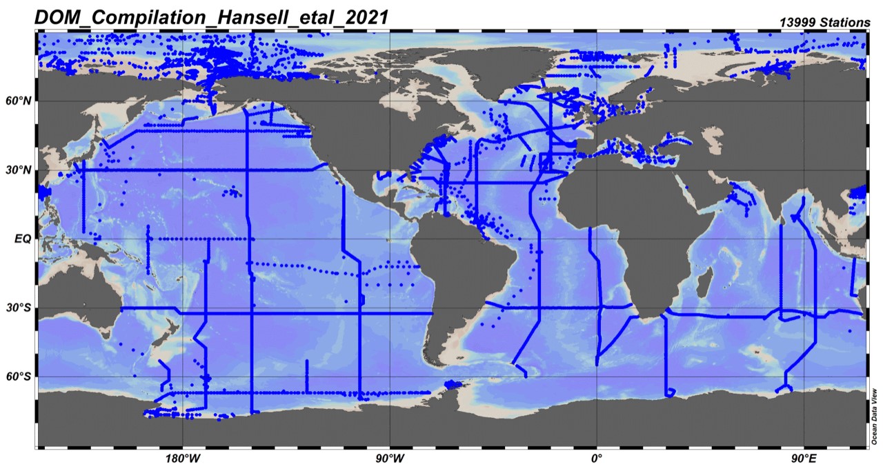 DOM Gompilation Hansell etal 2021
