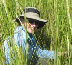 Photo of Anna R. Armitage, Ph.D.