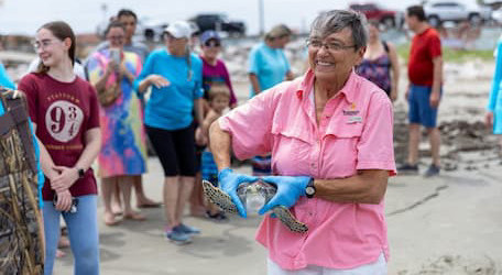 Sea turtle release