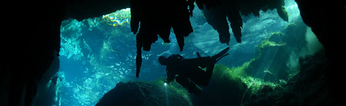 Slide 9