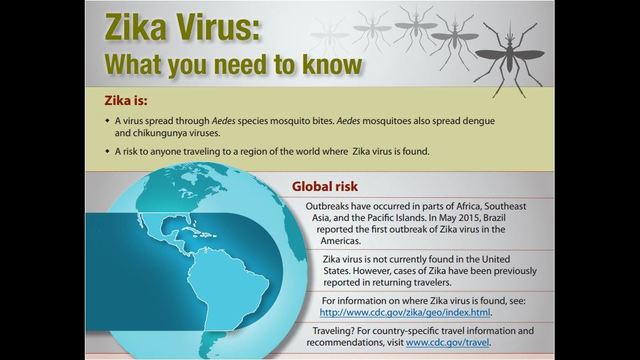 TAMUG Zika Virus