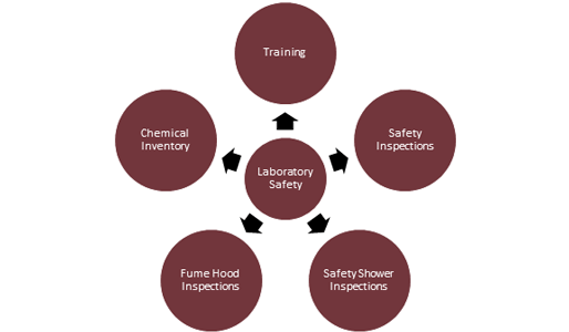TAMUG Lab Safety