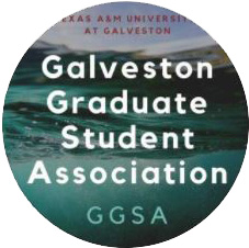 GGSA logo