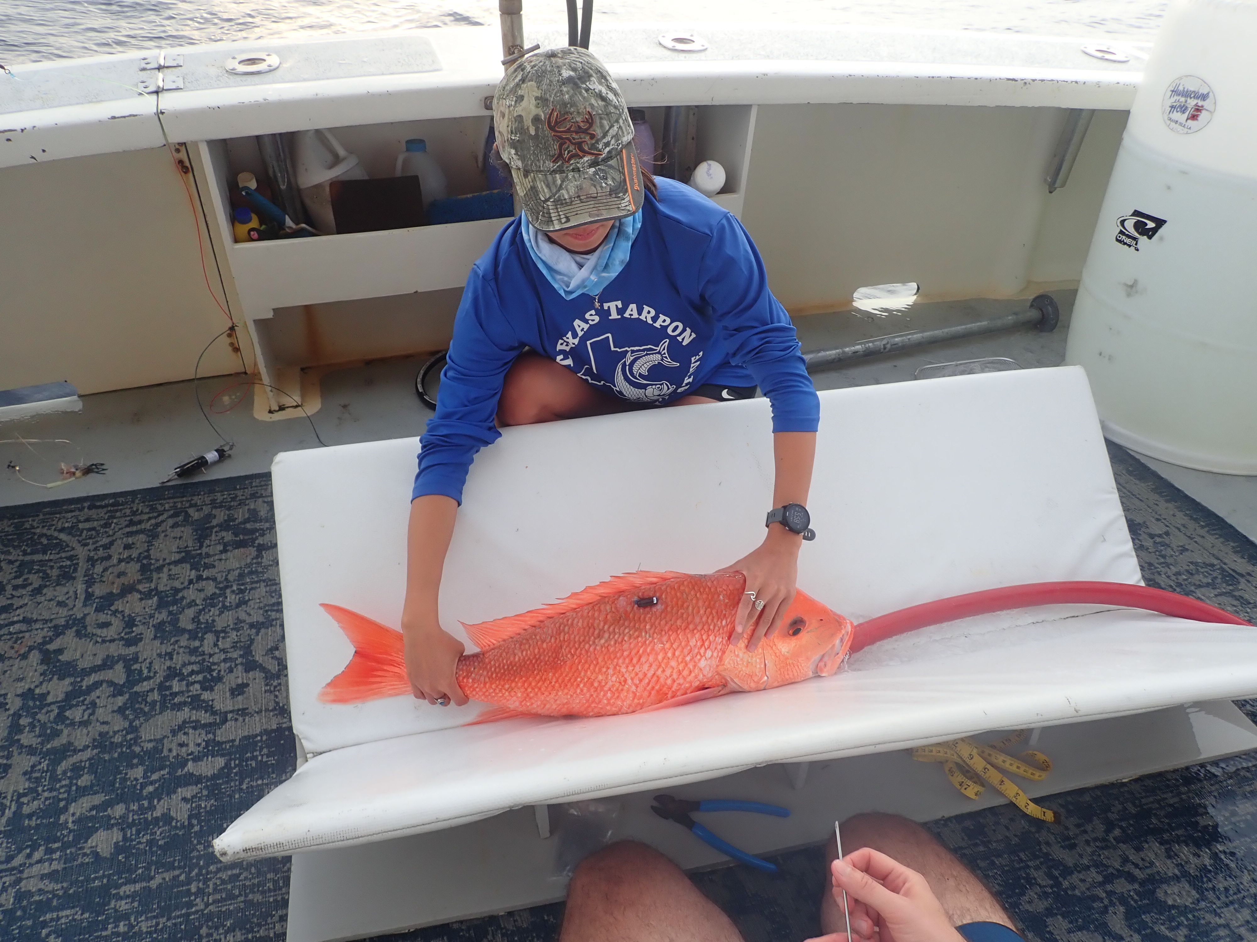fish with tag