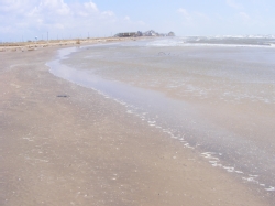 State Park 1