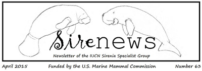 Sirenews logo