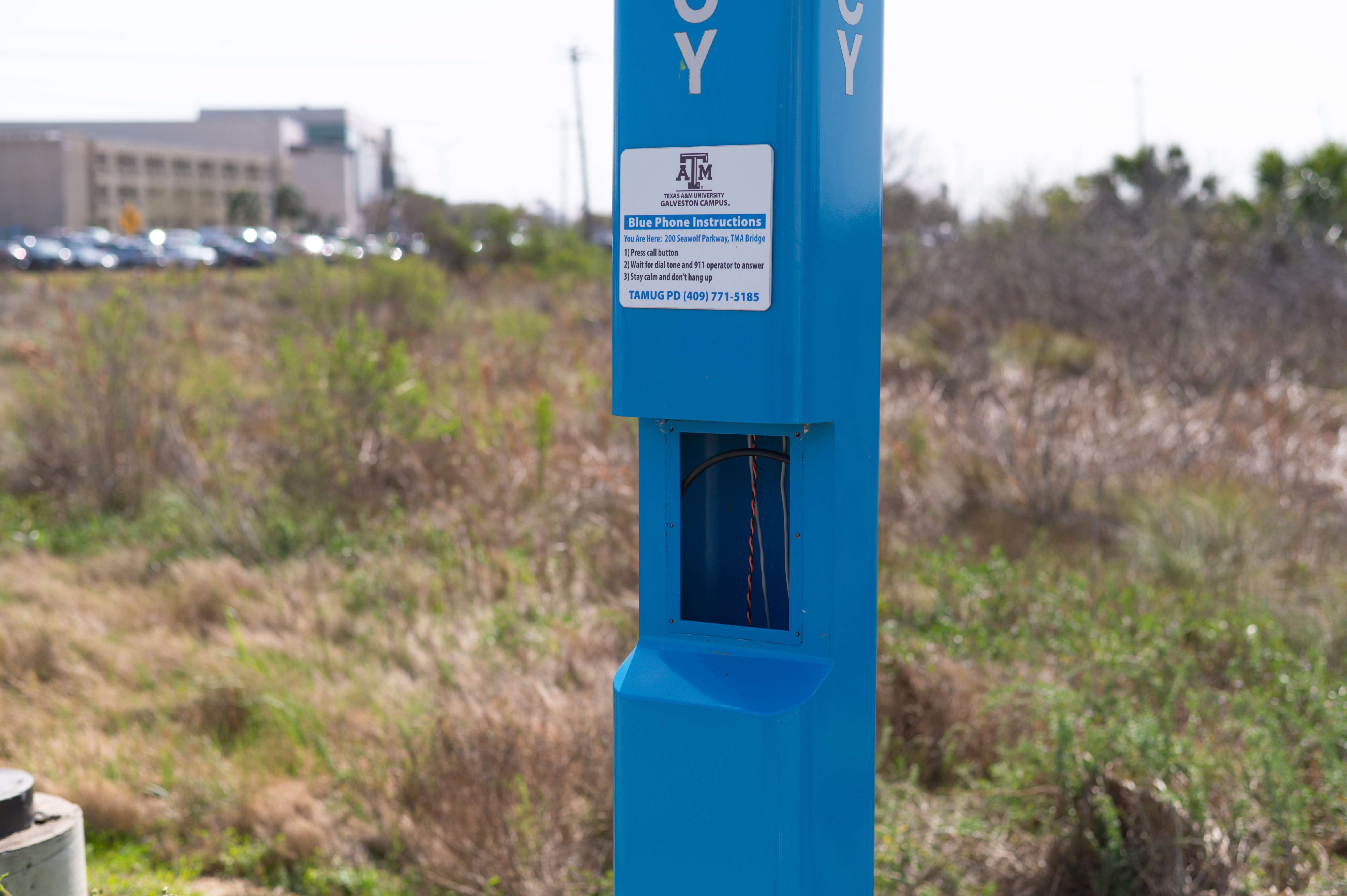 Blue Emergency Phone outside TAMMAH. Photo by Briana Maltez, '28.