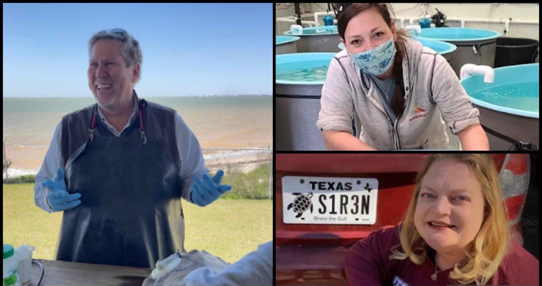 Image for 'Turtle Talk: Get to Know Galveston’s Sea Turtle Heroes' article.