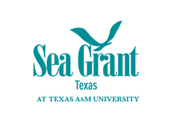 Image for 'Texas Sea Grant Awards $5,700 in Grants to Support Undergraduate Student’s Research Projects at Texas A&M Galveston' article.