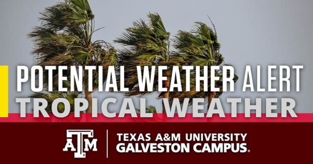 Image for 'Tropical Weather Expected to Impact Campus Operations Next Week     ' article.