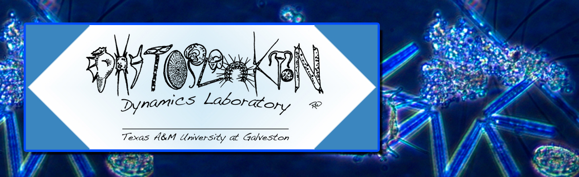 Lab's Logo