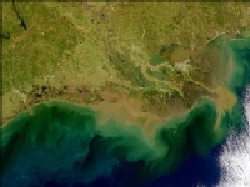 Louisiana Delta