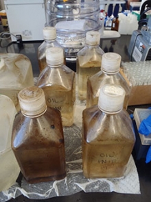 Small samples like these are enough for Professor Wei-Chun Chin to apply his microfluidics tests and gather data about oceanic oil spills. Samples