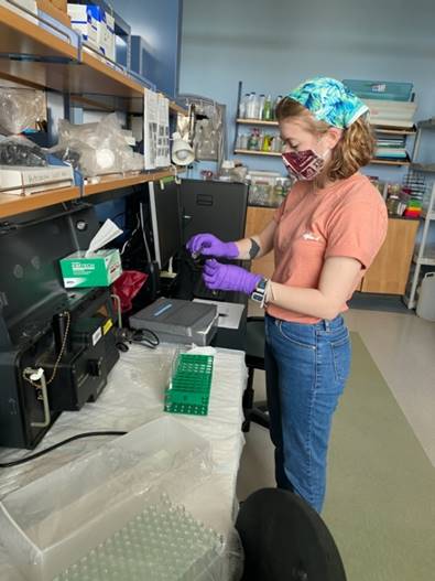 Pictured is Shaley measuring the fluorescence of a sample of Thalassiosira pseudonana, a measurement that will ultimately help to determine if there is an impact to T. pseudonana photosynthetic ability when in contact with PFOS.
