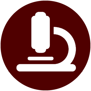 Division of Research Button