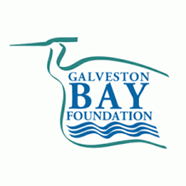 Galveston Bay Foundation Button