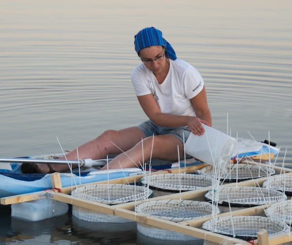 Photo of Evangelia Smeti