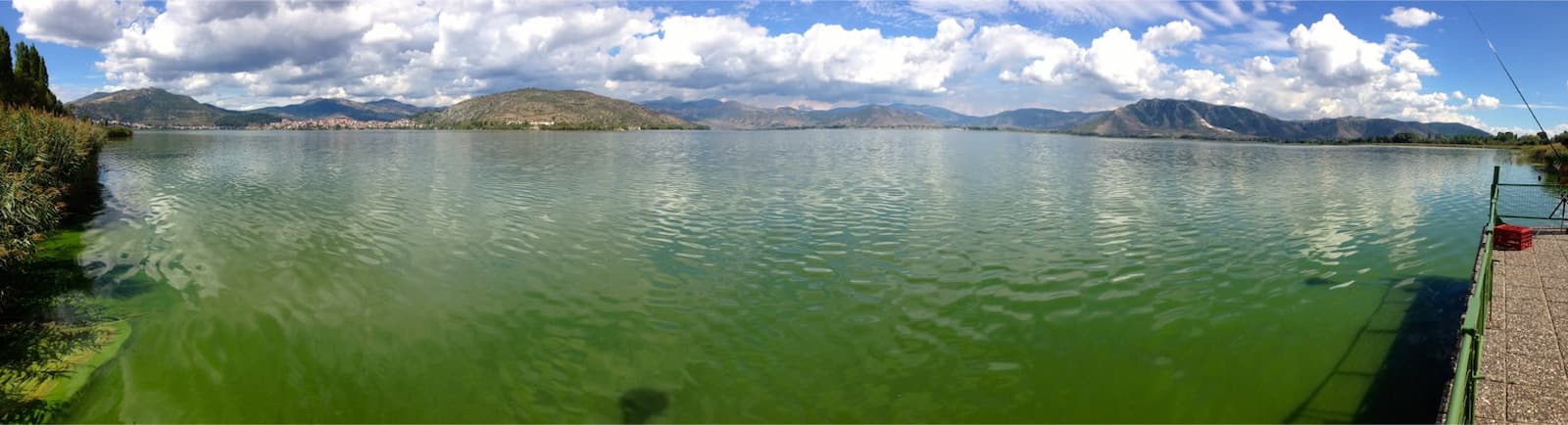 cyanobacteria bloom