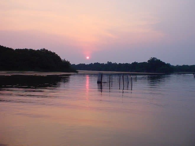 experiments in the Cinaruco River, Venezuela