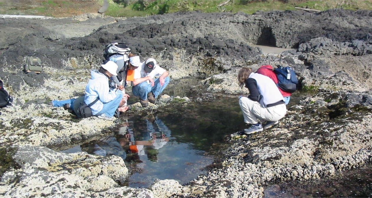 Graduate students at the Oregon coast