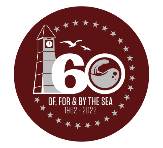 60th Anniversary Logo 