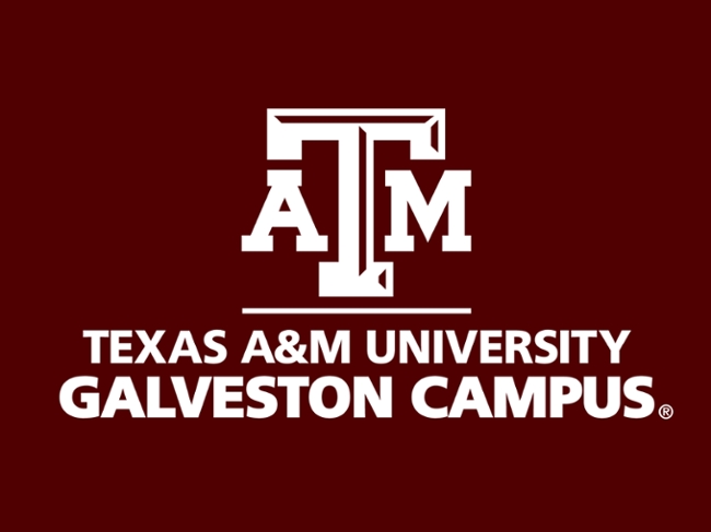 Image for 'Texas A&M Galveston Conducts Spring Commencement' article.