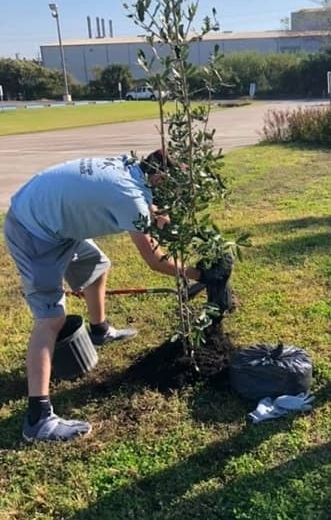 A student plants a tree during a previous volunteer event. 