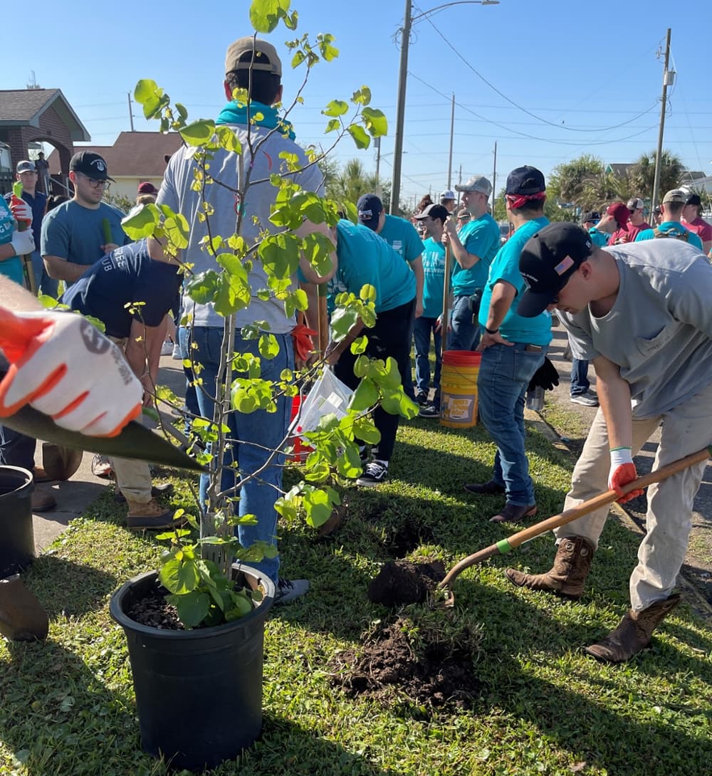 Students planting a tree with the Galveston Island Tree Conservancy