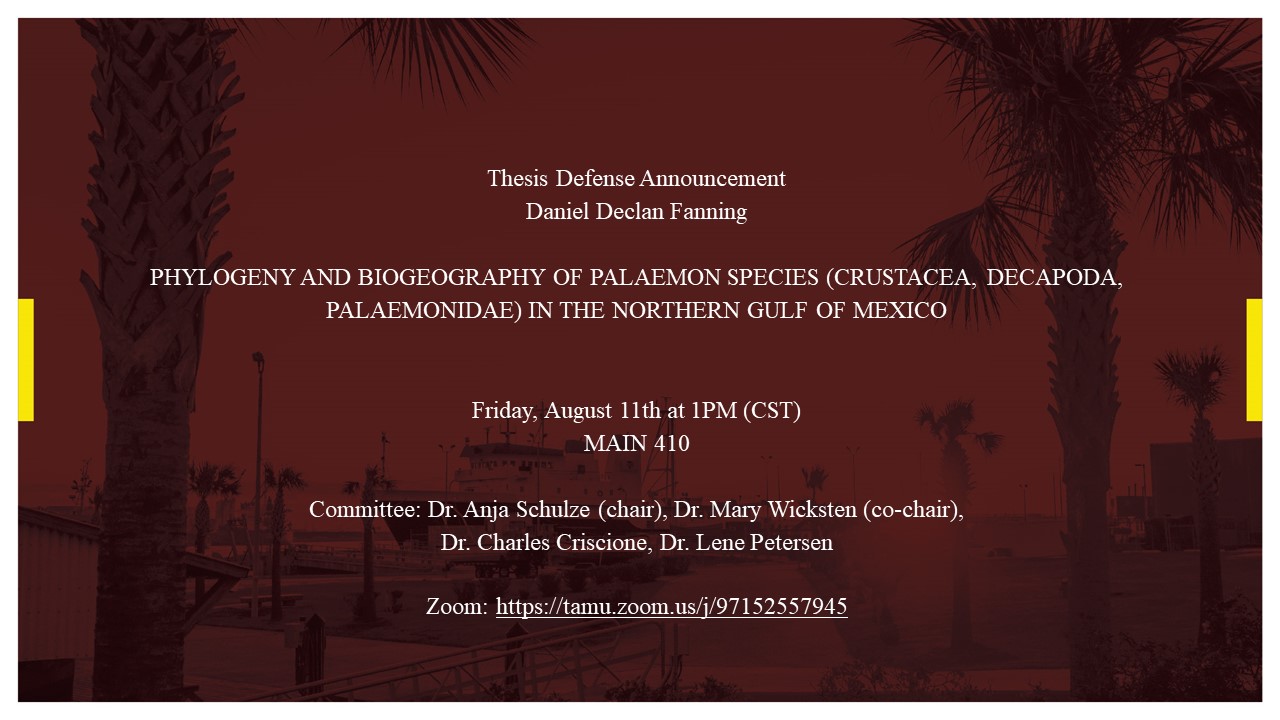 Thesis Defense by Daniel Declan Fanning